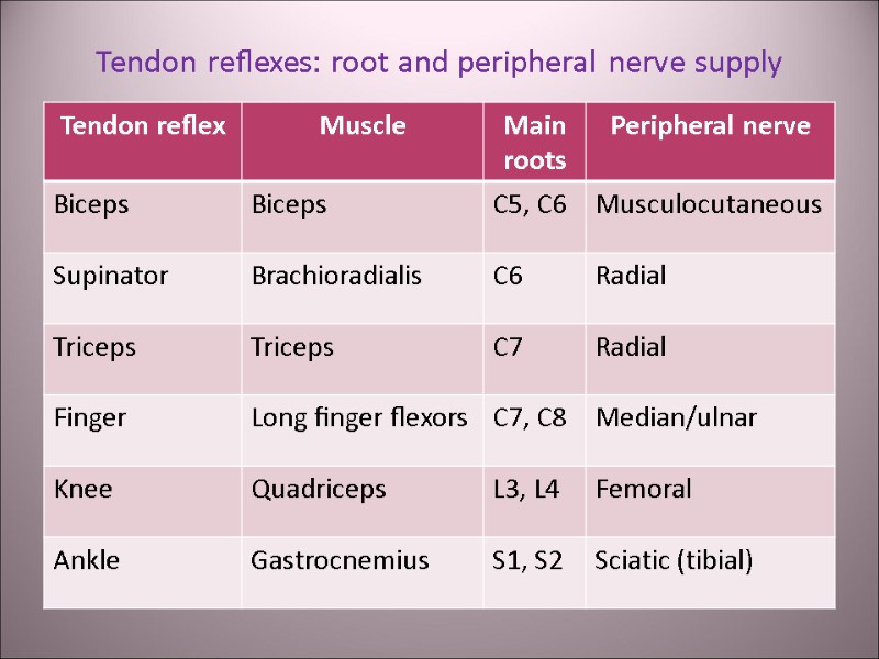 Tendon reﬂexes: root and peripheral nerve supply